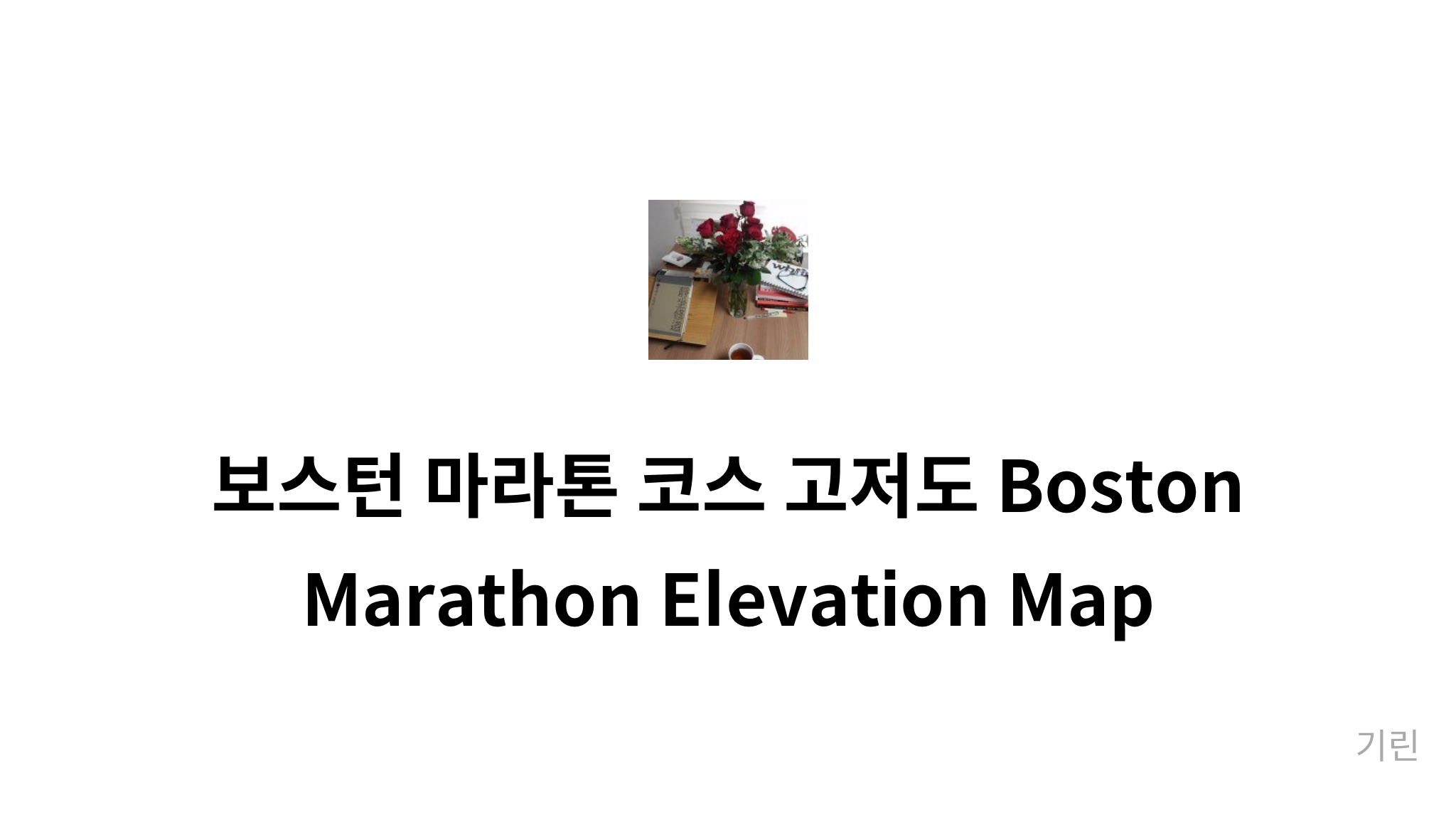 보스턴 마라톤 코스 고저도 Boston Marathon Elevation Map mysetting